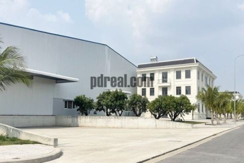 Factory for Rent in Binh Duong – BD68: Prime Industrial Location